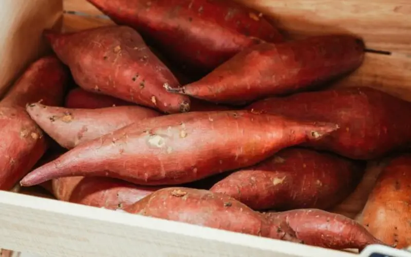Sweet Potato – a natural energy boosting food